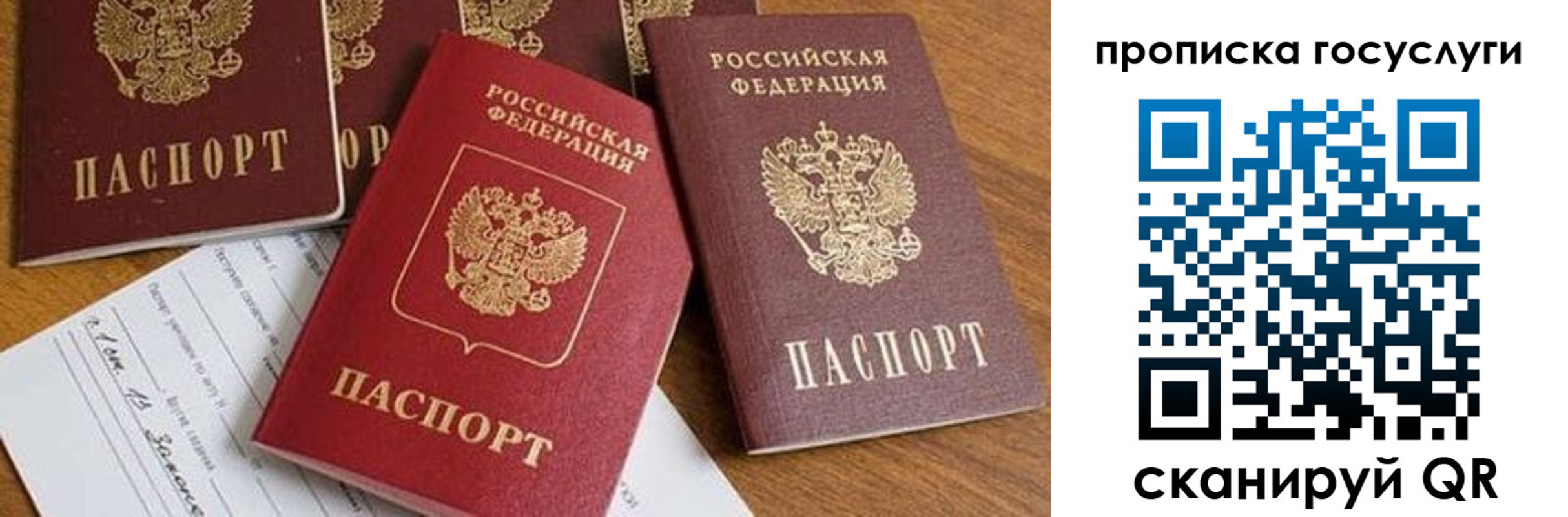 прописка ребенка в Калужской области